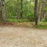 Review photo of Nickerson State Park Campground by Jean C., May 31, 2020