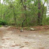 Review photo of Nickerson State Park Campground by Jean C., May 31, 2020