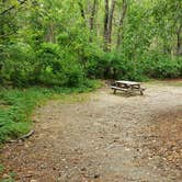 Review photo of Nickerson State Park Campground by Jean C., May 31, 2020