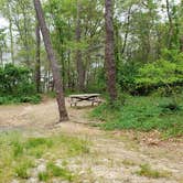 Review photo of Nickerson State Park Campground by Jean C., May 31, 2020