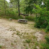 Review photo of Nickerson State Park Campground by Jean C., May 31, 2020