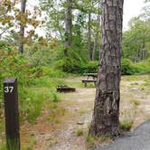 Review photo of Nickerson State Park Campground by Jean C., May 31, 2020