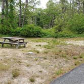 Review photo of Nickerson State Park Campground by Jean C., May 31, 2020