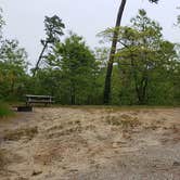 Review photo of Nickerson State Park Campground by Jean C., May 31, 2020