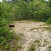 Review photo of Nickerson State Park Campground by Jean C., May 31, 2020