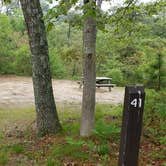 Review photo of Nickerson State Park Campground by Jean C., May 31, 2020