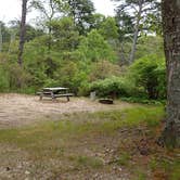 Review photo of Nickerson State Park Campground by Jean C., May 31, 2020