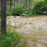 Review photo of Nickerson State Park Campground by Jean C., May 31, 2020