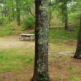 Review photo of Nickerson State Park Campground by Jean C., May 31, 2020