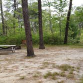 Review photo of Nickerson State Park Campground by Jean C., May 31, 2020