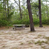 Review photo of Nickerson State Park Campground by Jean C., May 31, 2020