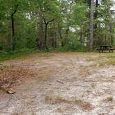 Review photo of Nickerson State Park Campground by Jean C., May 31, 2020