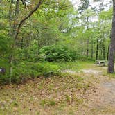 Review photo of Nickerson State Park Campground by Jean C., May 31, 2020