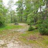 Review photo of Nickerson State Park Campground by Jean C., May 31, 2020