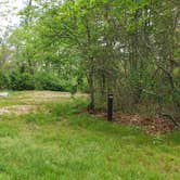 Review photo of Nickerson State Park Campground by Jean C., May 31, 2020