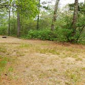 Review photo of Nickerson State Park Campground by Jean C., May 31, 2020