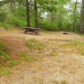 Review photo of Nickerson State Park Campground by Jean C., May 31, 2020