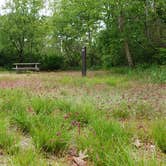 Review photo of Nickerson State Park Campground by Jean C., May 31, 2020