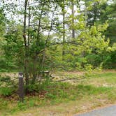 Review photo of Nickerson State Park Campground by Jean C., May 31, 2020