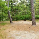 Review photo of Nickerson State Park Campground by Jean C., May 31, 2020