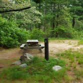 Review photo of Nickerson State Park Campground by Jean C., May 31, 2020