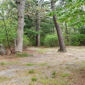 Review photo of Nickerson State Park Campground by Jean C., May 31, 2020