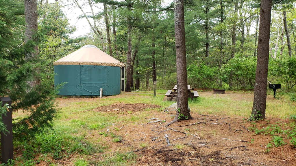 Jean C.'s photo at Nickerson State Park Campground near Provincetown, MA