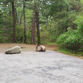 Review photo of Nickerson State Park Campground by Jean C., May 31, 2020