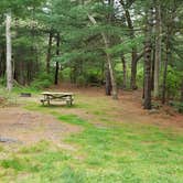 Review photo of Nickerson State Park Campground by Jean C., May 31, 2020