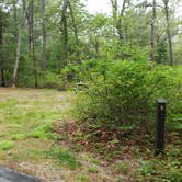 Review photo of Nickerson State Park Campground by Jean C., May 31, 2020