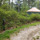 Review photo of Nickerson State Park Campground by Jean C., May 31, 2020