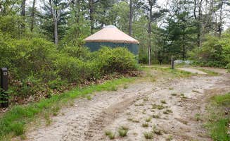 Jean C.'s photo at Nickerson State Park Campground near South Orleans, MA