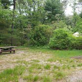 Review photo of Nickerson State Park Campground by Jean C., May 31, 2020