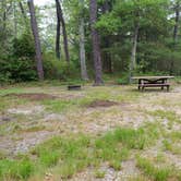 Review photo of Nickerson State Park Campground by Jean C., May 31, 2020