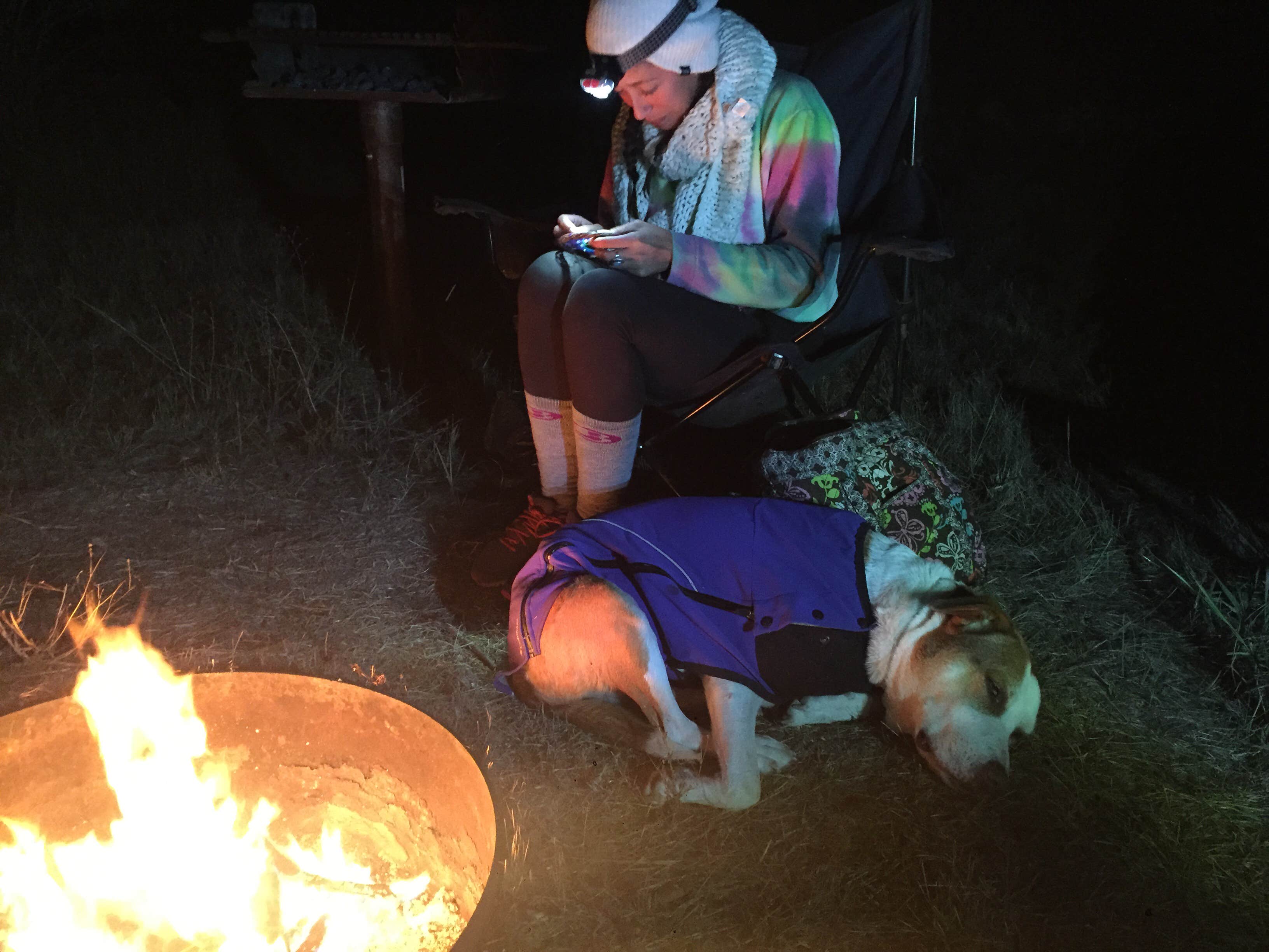 Camper submitted image from Slough Creek Campground — Yellowstone National Park - 5