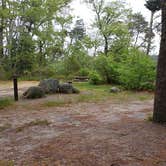 Review photo of Nickerson State Park Campground by Jean C., May 31, 2020