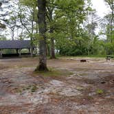 Review photo of Nickerson State Park Campground by Jean C., May 31, 2020