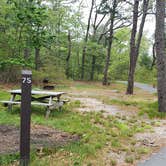 Review photo of Nickerson State Park Campground by Jean C., May 31, 2020