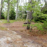 Review photo of Nickerson State Park Campground by Jean C., May 31, 2020