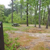 Review photo of Nickerson State Park Campground by Jean C., May 31, 2020