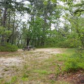 Review photo of Nickerson State Park Campground by Jean C., May 31, 2020