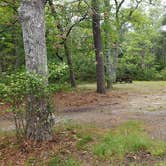 Review photo of Nickerson State Park Campground by Jean C., May 31, 2020