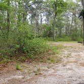 Review photo of Nickerson State Park Campground by Jean C., May 31, 2020