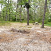 Review photo of Nickerson State Park Campground by Jean C., May 31, 2020