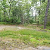 Review photo of Nickerson State Park Campground by Jean C., May 31, 2020