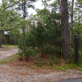 Review photo of Nickerson State Park Campground by Jean C., May 31, 2020