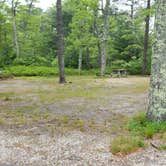 Review photo of Nickerson State Park Campground by Jean C., May 31, 2020