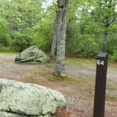 Review photo of Nickerson State Park Campground by Jean C., May 31, 2020