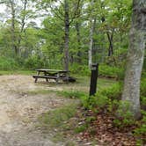 Review photo of Nickerson State Park Campground by Jean C., May 31, 2020