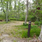 Review photo of Nickerson State Park Campground by Jean C., May 31, 2020